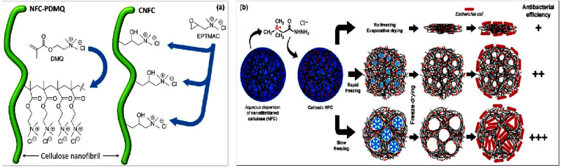 Figure 23