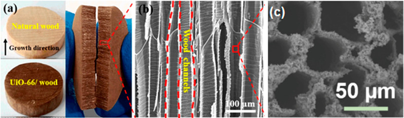 Figure 20