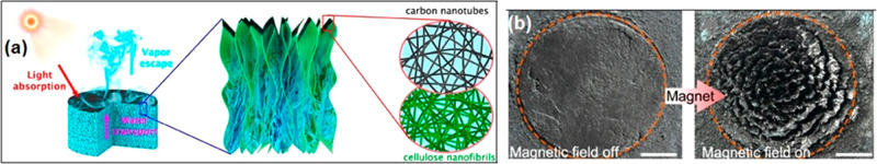 Figure 24