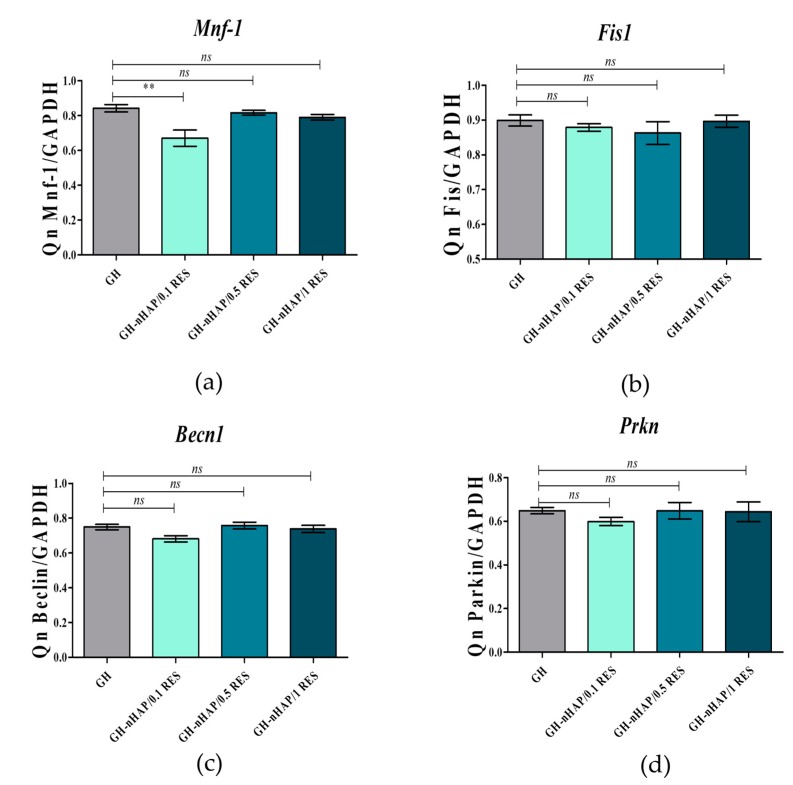 Figure 11