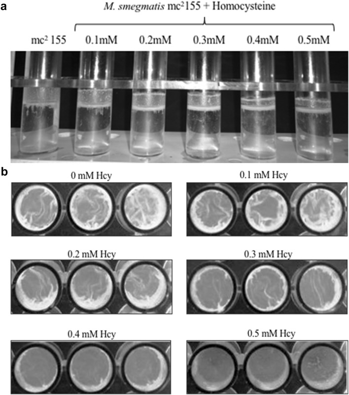 Fig. 3