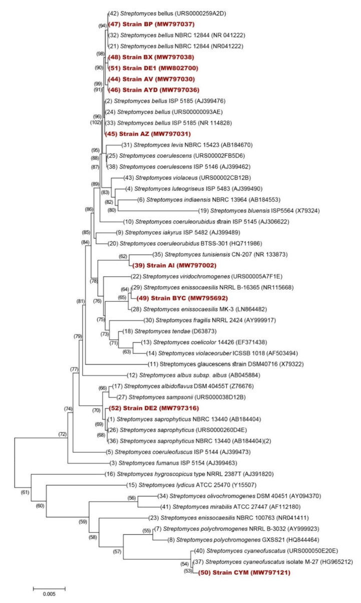 Figure 5