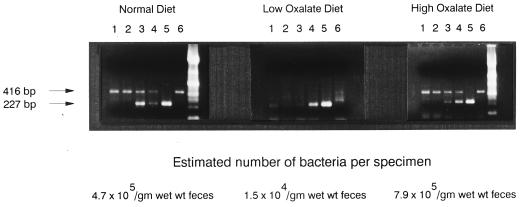 FIG. 6