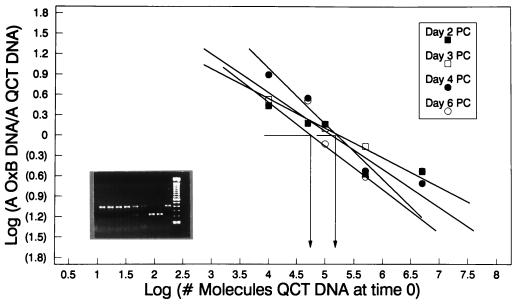 FIG. 5