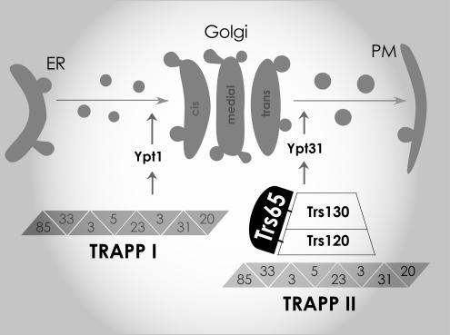 Figure 9.