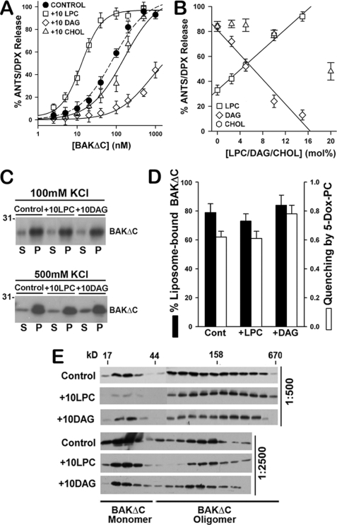 FIGURE 9.