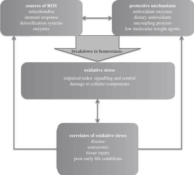 Figure 1.