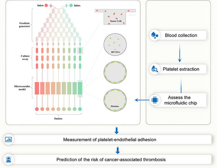 graphic file with name ao0c05572_0008.jpg