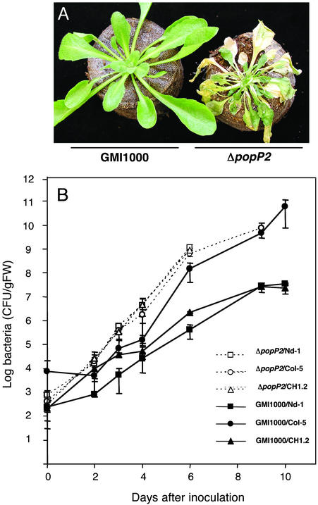 Fig. 1.