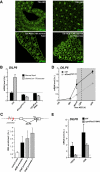 Figure 6