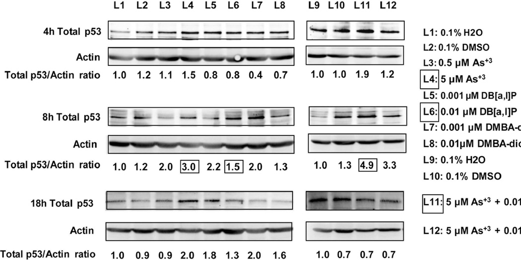 Fig. 8