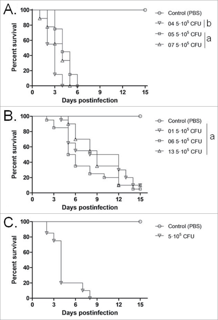 Figure 2.