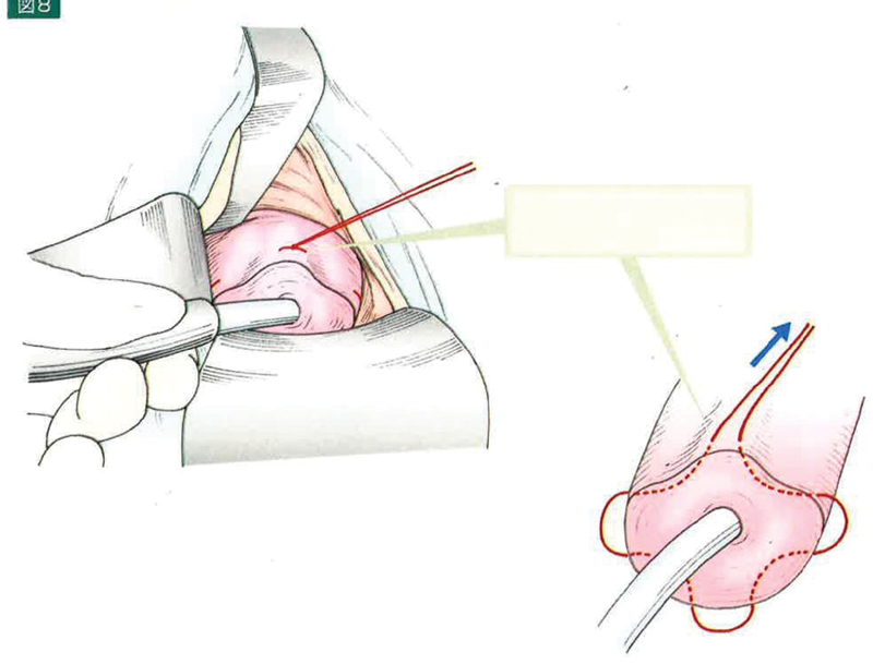 Fig. 8