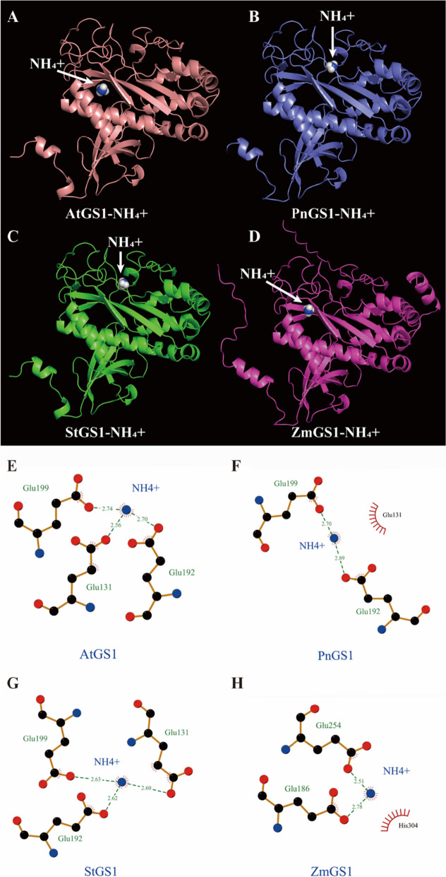 Fig. 10