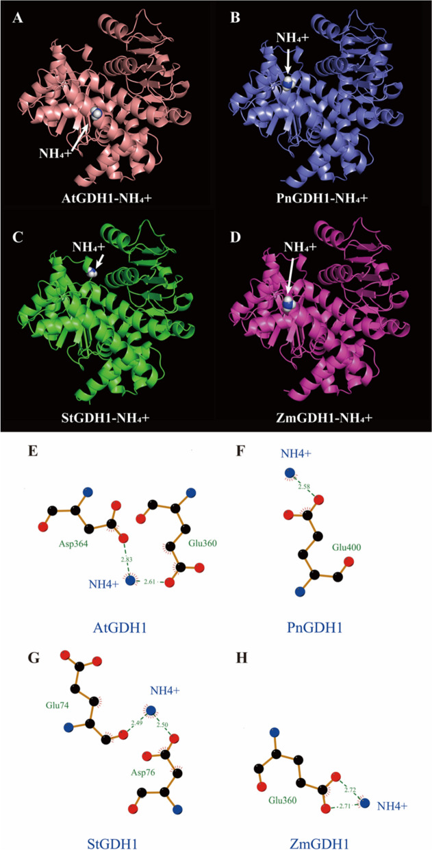 Fig. 11