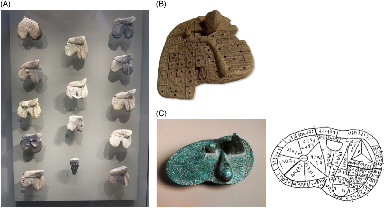 FIGURE 1