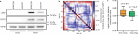 Extended Data Fig. 5