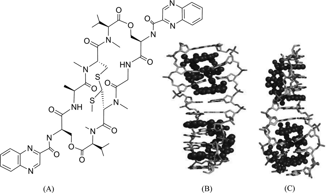 Figure 30