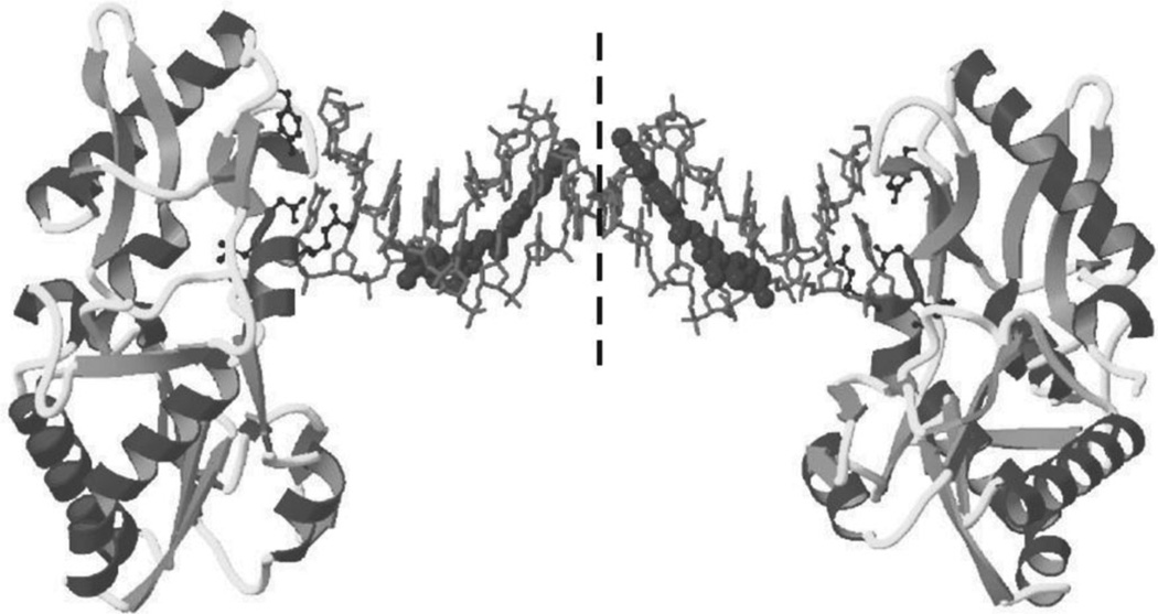 Figure 22