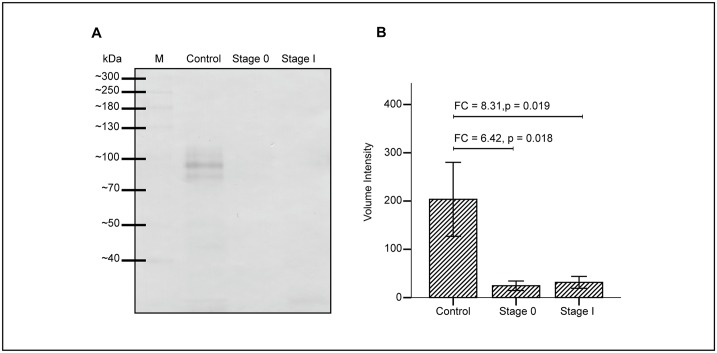 Fig 5