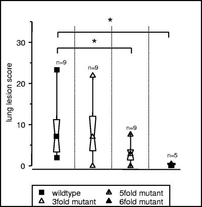 FIG. 2.