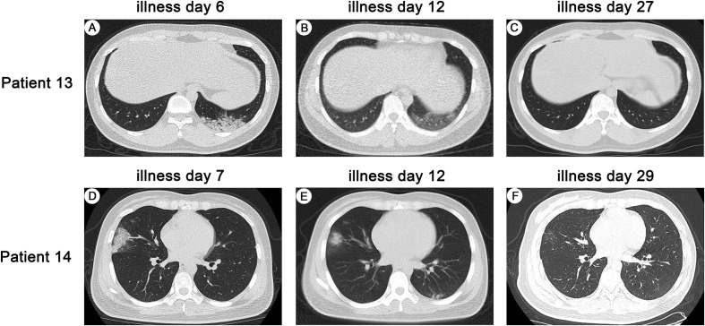 Fig. 3