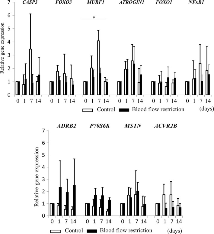 FIGURE 3