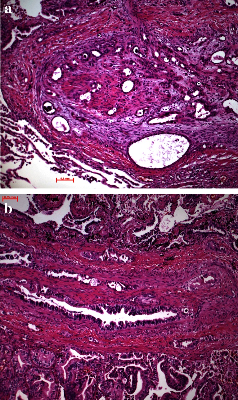 Fig. 10