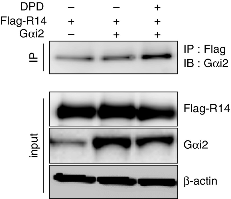 Figure 5.