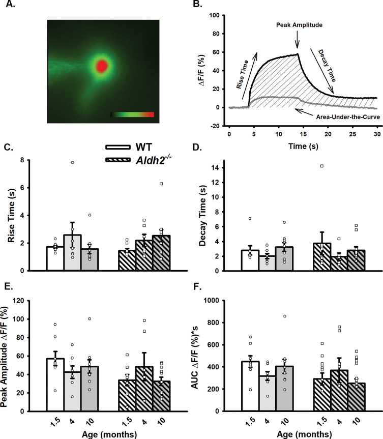 Fig. 4