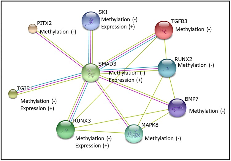 Fig 3