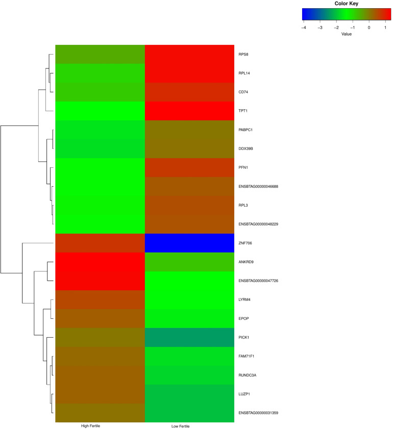 FIGURE 3