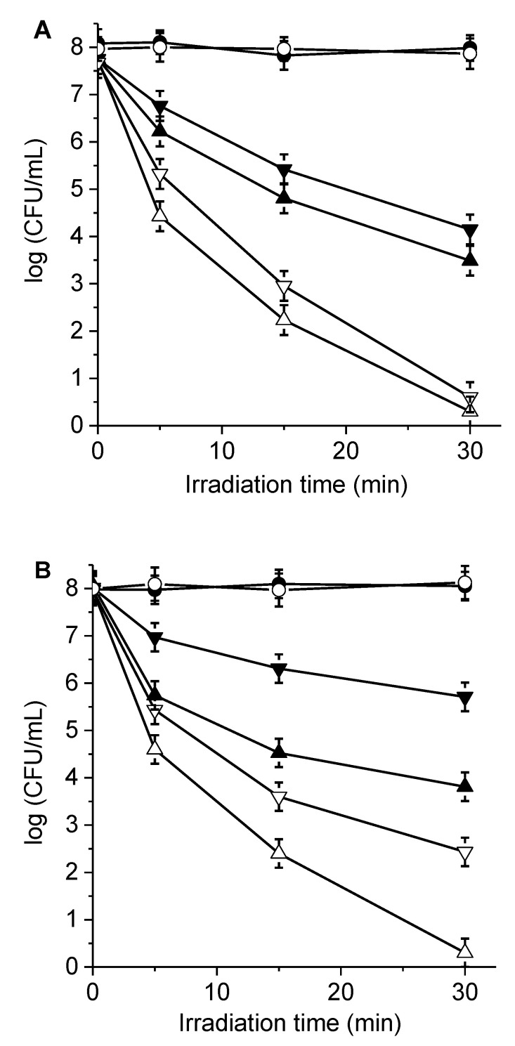 Figure 7