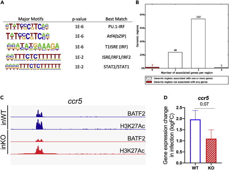 Figure 6