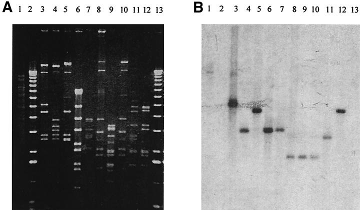 FIG. 6.