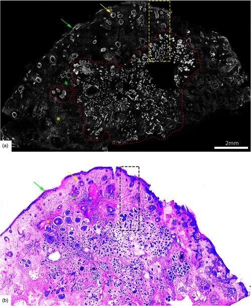 Fig. 4