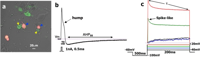 Fig 1