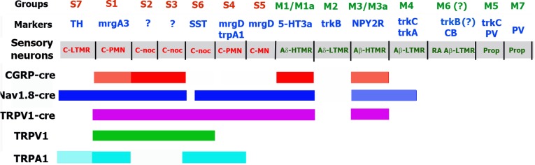 Fig 11