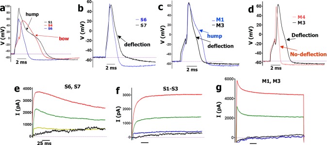 Fig 4