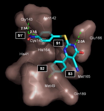 Figure 2