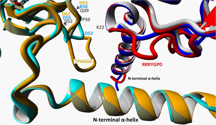 Fig 9