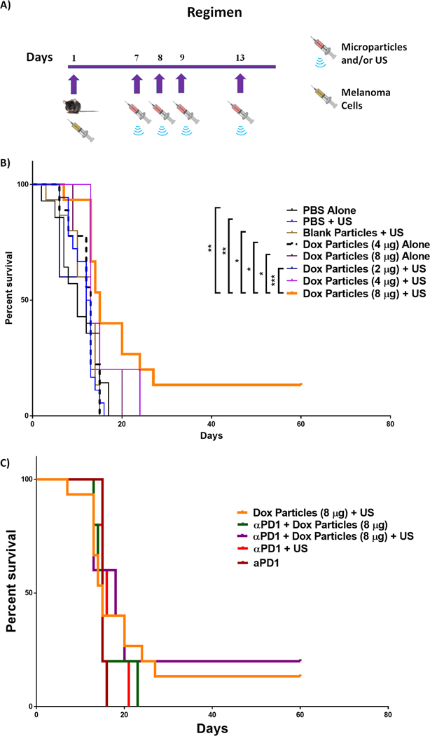 Figure 6: