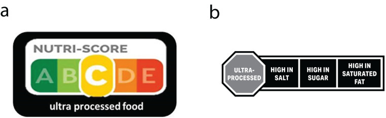 FIGURE 1—