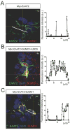 Fig 5