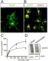 Fig 9