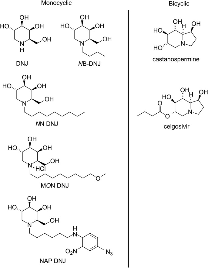 Figure 1.