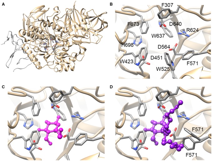 Figure 4.