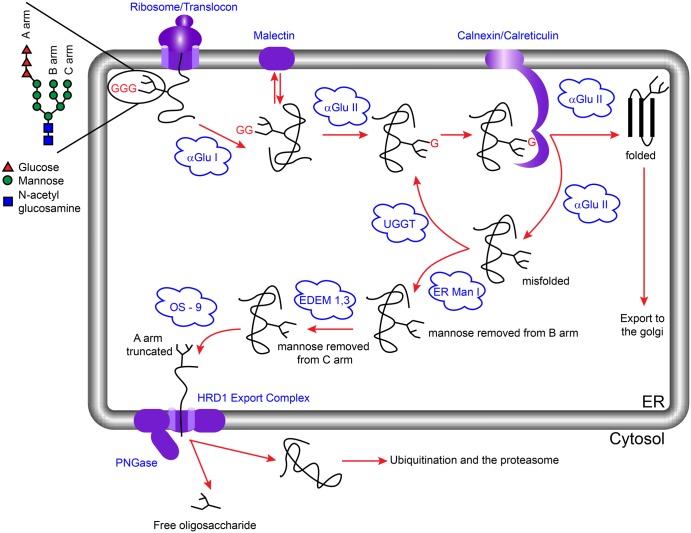 Figure 2.