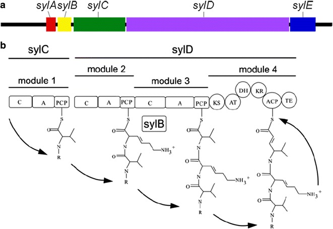 Fig. 2