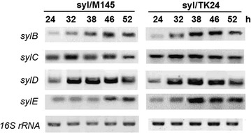 Fig. 4